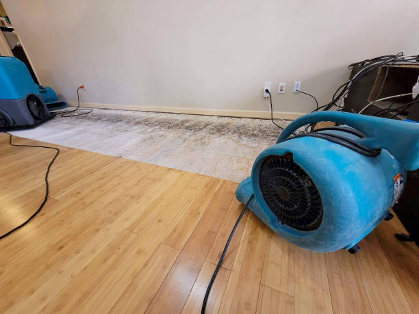 Professional Water Damage Repair technician working in Ocean Park, WA